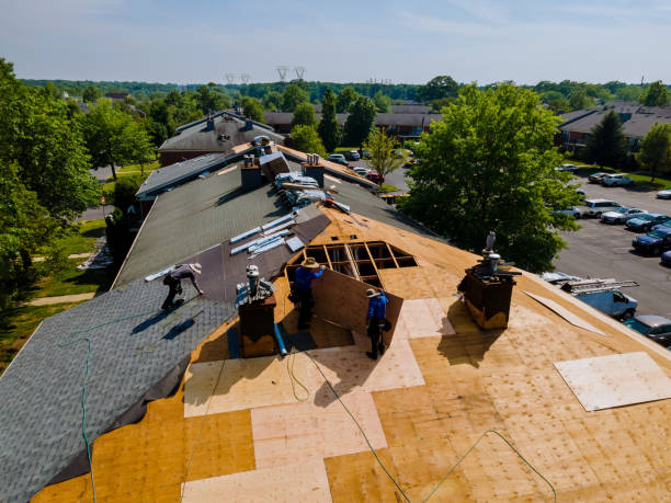Best Best Roofing Contractors  in Caro, MI
