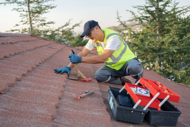 Best Best Roofing Contractors  in Caro, MI