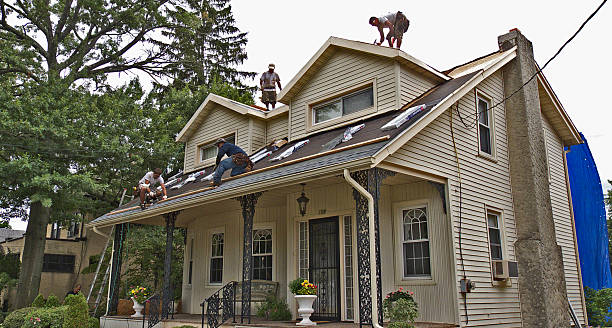 Best Roofing Contractor Near Me  in Caro, MI
